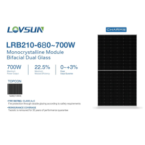 Bifacial Dual Glass Solar Panel LRB210-66H 680-700