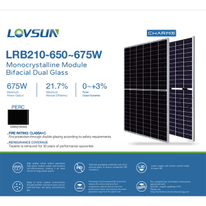 Monocrystalline Module Bifacial Dual Glass Solar Panel LRB210 650-675W